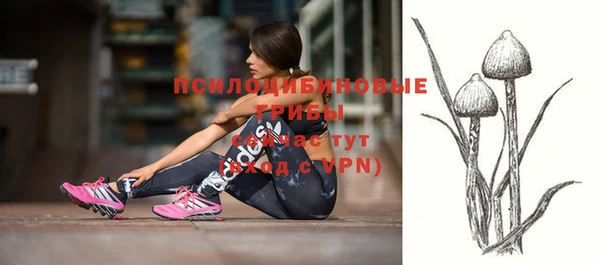 мдма Осинники