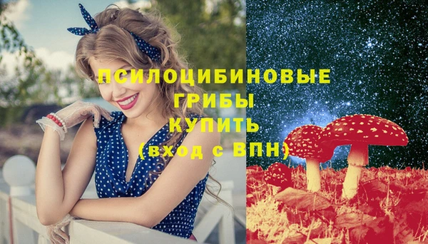 экстази Осташков